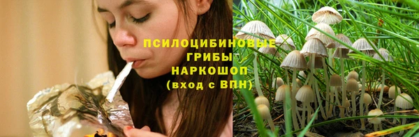 стаф Алзамай